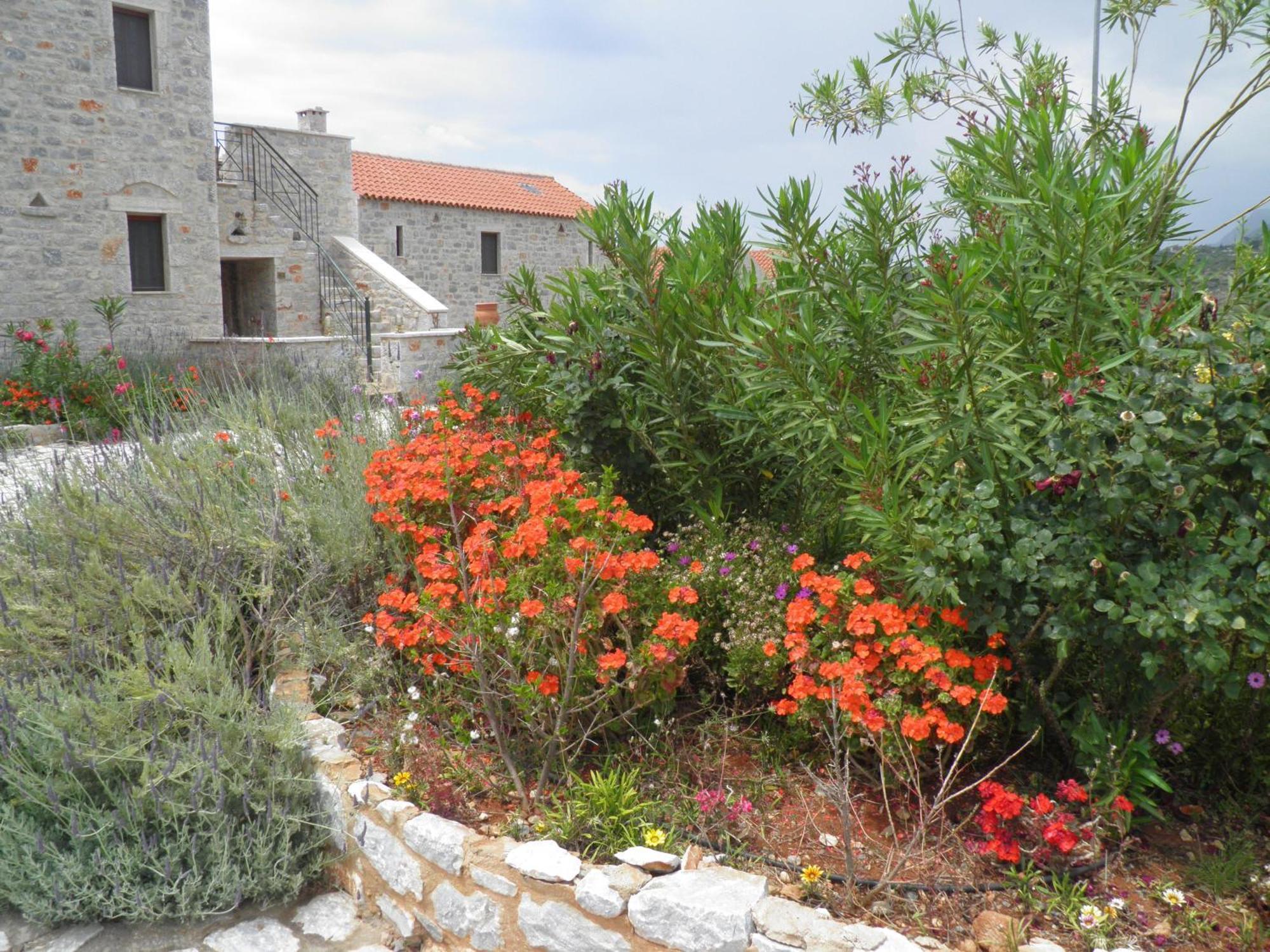 Althea Village Areopoli Exterior foto